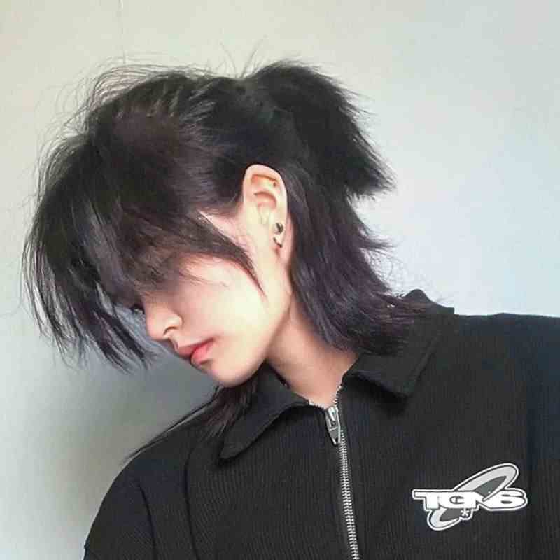 Wolf Cut in a Ponytail Medium Length