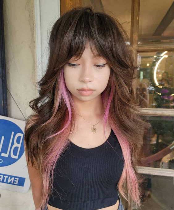 Wolf Cut with Highlights