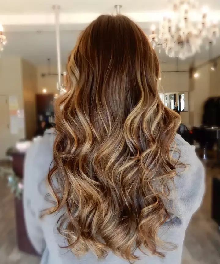 Espresso-to-Light Brown Fade