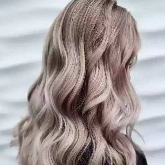 Mushroom Light Brown